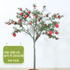 오렌지 귤 인조 나무 장식 인조목 조화 카페 조경 제주도, 큰 석류나무