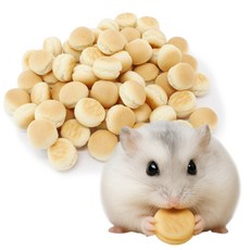 햄스터 간식 먹이 퍼피볼 비스켓, 25g, 1개
