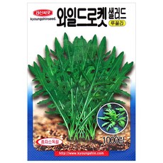 세인화분 와일드로켓 샐러드 1000립 - 이태리 루꼴라 씨 씨앗, 1개 1개