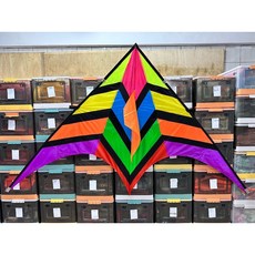 【風箏小舖】2.8米 風箏 成人 2-4級風, 單風箏附基本線組