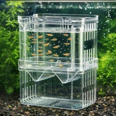 아크릴 치어 부화통 새우 구피 베타 안시 열대어 치어통 물고기 격리통 산란통