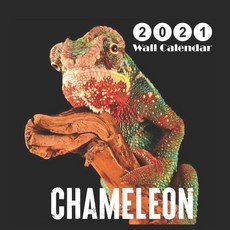 chameleon: 2021 Wall & Office Calendar 12 Month Calendar Paperback, Independently Published, English, 9798695115475