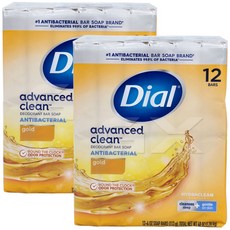 다이알 골드 비누, 113g, 24개입