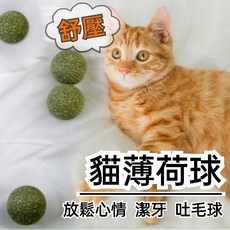 貓薄荷球 貓草球 貓咪零食 貓草玩具, 1個