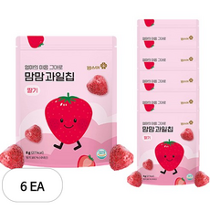 맘스미 맘맘 과일칩, 6개, 8g