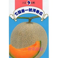 七股香一號洋香瓜種子 果型大 糖度高 果肉橙紅, 1包