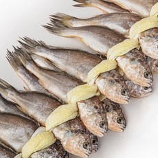 착한굴비 국내산 영광 법성포굴비 참조기 실속형 가정용, 1세트, 20미 1.5kg