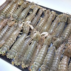 국내산 서해 갯가재 급냉 자연산 산지직송 당일조업, 1박스, 털치 500g