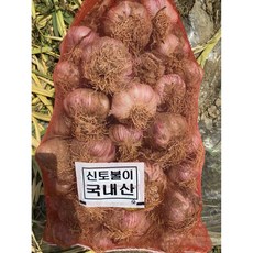 [특가] 국내산 고흥 햇마늘 알마늘 통마늘 특품 산지직송, 1개, 고흥 햇마늘 1kg