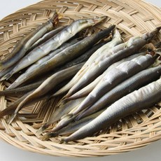 동해 반건조 햇 양미리 주문진 제철 별미 생선 조림 구이, 1박스, 20미(1두릅), 반건조 양미리