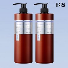 하라즈 LPP 극손상 단백질 헤어팩, 1L, 2개