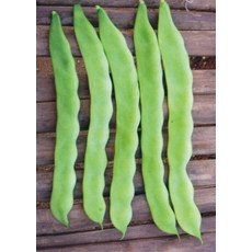 【野菜部屋】J18 扁莢粉豆種子 中包裝 醜豆 歹豆, 1包