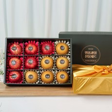 [명절단독특가] 전라도청년 프레시 사과배 과일선물세트 프리미엄 선물세트 4호 백화점 납품용, 1세트