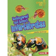 (영문도서) Endangered and Extinct Invertebrates Paperback, Lerner Classroom, English, 9781467723718
