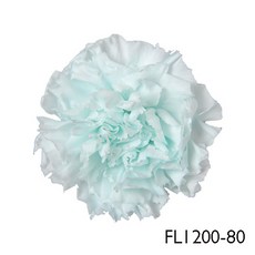 花藝夢 日本Florever FL1200系列 中輪康乃馨 不凋永生花 原裝盒 母親節必備, 1200-80