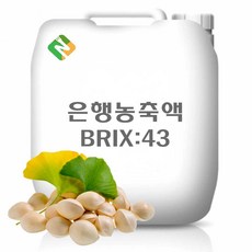 은행농축액 43Brix 200g 샘플, 1개