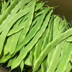 [ 금성식품 ] 중국야채 싱싱채당콩 (밴떠우), 1개, 500g