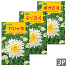 세인화분 흰색 민들레 100립 - 꽃씨 꽃씨앗 씨 씨앗, 3개