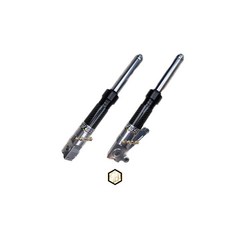 RRGS JISO DIO 改短前叉 - 改短4公分 卡夢避震器, 1個