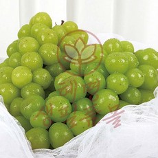 샤인머스켓 2kg 4수 씨없는 포도 여름과일 자연맛남 품격있는선물세트