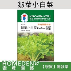 農友種苗 KNOWN-YOU 皺葉小白菜種子 (V-051) 家庭園藝栽培, 1包