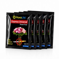 헤이와이즈 플로라라이프 생화 꽃 보존제 수명연장제, 25개, 5ml 25개, 5ml