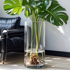 대형 거실 완성 투명유리화병 수경재배 플랜 넓은입구, 지름 20 높이 30 (cm)