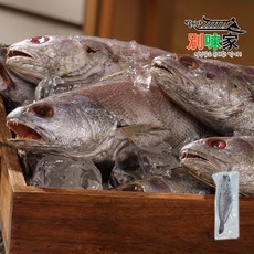 [별미가] 손질완료 담백한 임금님 건강식 국내산 반건조 통민어 240g x 1미