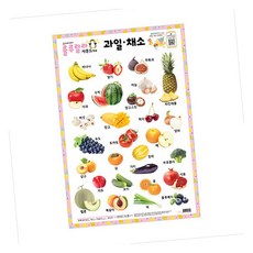 MN 유아 양면 학습벽보 과일 채소 유아벽보