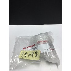 KYMCO 光陽 原廠 啟動馬達 適用於 G5 超五 125 150, 1個