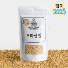 그레인플러스 지퍼백 호라산밀 고대곡물, 2kg, 1개