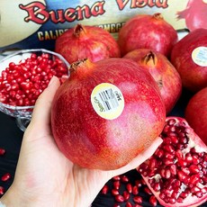 고당도 미국 캘리포니아 생석류 특대과 2.5kg 5kg, 석류 특대과 2.5kg, 1개