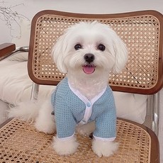 쁘띠도그 허쉬가디건 겨울 반려동물 강아지옷 고양이옷 와플 버튼 아우터 2colors XS~XL, 1개, 블루