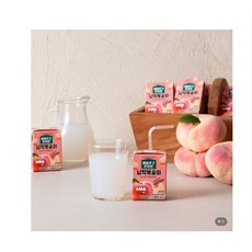 신세계푸드 올바르고반듯한 납작복숭아, 24개, 120ml