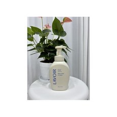 라브아 퍼퓸 포밍 핸드워시 화이트머스크앤앰버 500ml 1개, 1