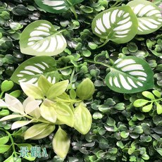 台灣現貨 仿真植物牆 60*40 綠植牆 仿真綠葉牆 綠色植物 陽台裝飾 造景 園藝牆 植物景觀 植生牆, 景觀A, 綠色