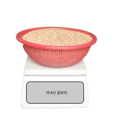 새싹 보리 종자 씨앗 집에서 키우기 배란다 텃밭 3kg, 1개
