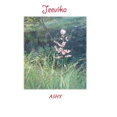 (영문도서)Jeevika Hardcover, Notion Press, English, 9798904514471
