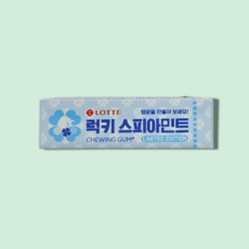 스피아민트 츄잉껌, 26g, 1개