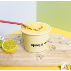 냉동 파인애플 샤벳 파인애플샤베트 350ml, 5개