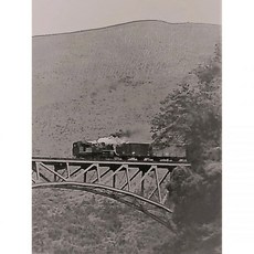 10798780 기관차 모형 열차 철도 기차 SL 증기 - TM 7 C12 다카모리선 백 추진 중