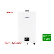 Rinnai 林內 RUA-1203WF 屋內型 12L 強制排氣熱水器 (送基本安裝), 1個