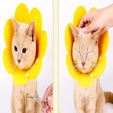 해피팜 반려견 넥카라 고양이부직포넥카라, 오렌지 L