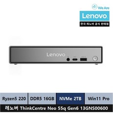 레노버 ThinkCentre neo 55q Gen6 13GNS00600 Win11 Pro, 2TB, 16GB, Raven black