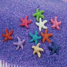 나아 모형불가사리 미니 91123EA