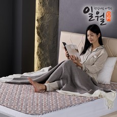 일월 NEW 알러크린 초절전형 워셔블 전기 온열매트, 더블(1400 x 1800 mm), 혼합색상