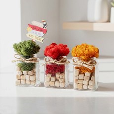 꽃순이 공기정화 스칸디아모스 이끼 화분 인테리어소품, 1세트, A타입