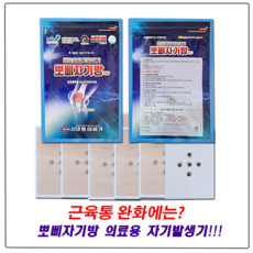대웅의료기 뽀삐자기방 파스 의료용 무릎 어깨 허리 근육 목결림 통증 완화패드 낱개, 6개입, 1개