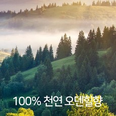 카퓸 오덴힐100% 천연 에센셜오일 향(20ml)실내 욕실 도손 호텔 화산석 이솝 디퓨저, 스프레이형(20ml), 1개, 20ml