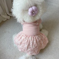 Grooming Dog 寵物手工簇頭里, 紫色